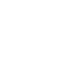 ELECTRIC FORKLIFTS